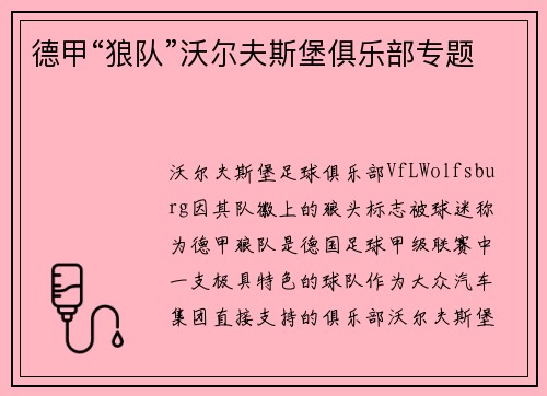 德甲“狼队”沃尔夫斯堡俱乐部专题