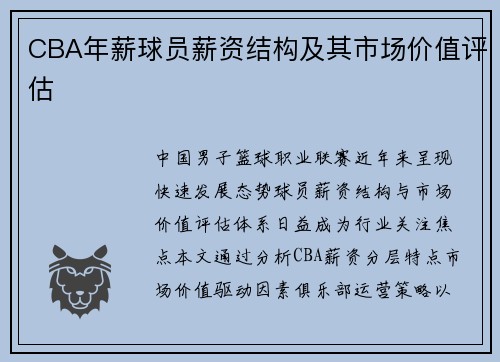 CBA年薪球员薪资结构及其市场价值评估